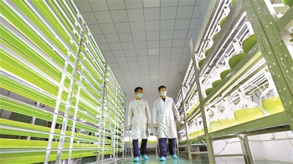 二氧化碳变身记——走进介休安泰工业园探寻变“碳”为“藻”的奥秘