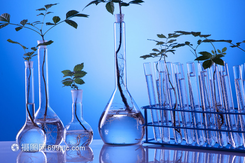 生物工程引领未来 工厂化植物实验的技术突破与应用前景