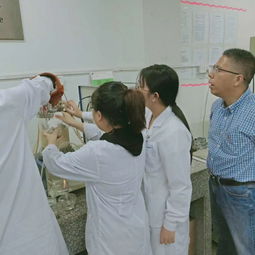 我校食品与生物工程系生物工程技术开发综合生产实训圆满完成