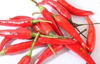 植物提取物技术新里程 长沙华康生物技术开发的苹果提取物与生物工程技术创新