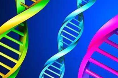 中科基因 生物工程技术开发的领航者