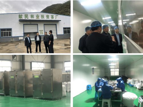 河南省生物工程学会赴三门峡开展科技服务活动